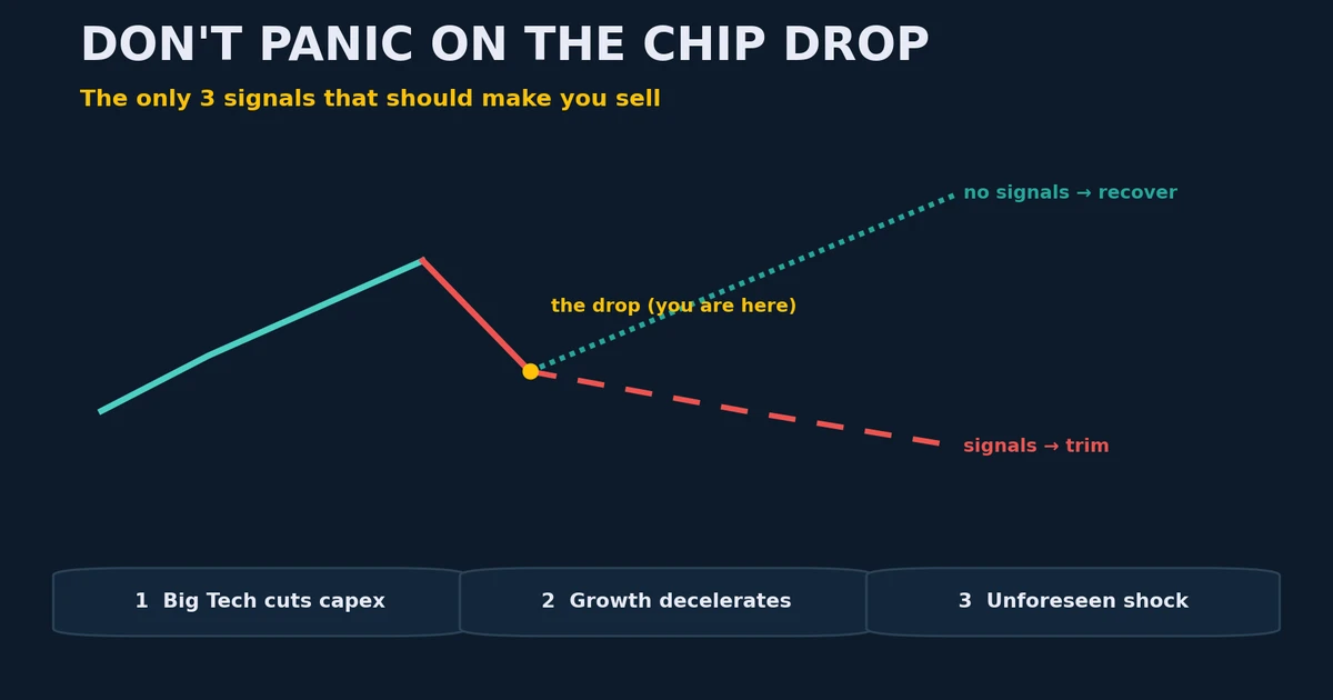 A chip stock rising then dropping sharply, with the three sell signals: Big Tech cuts capex, growth decelerates, unforeseen shock